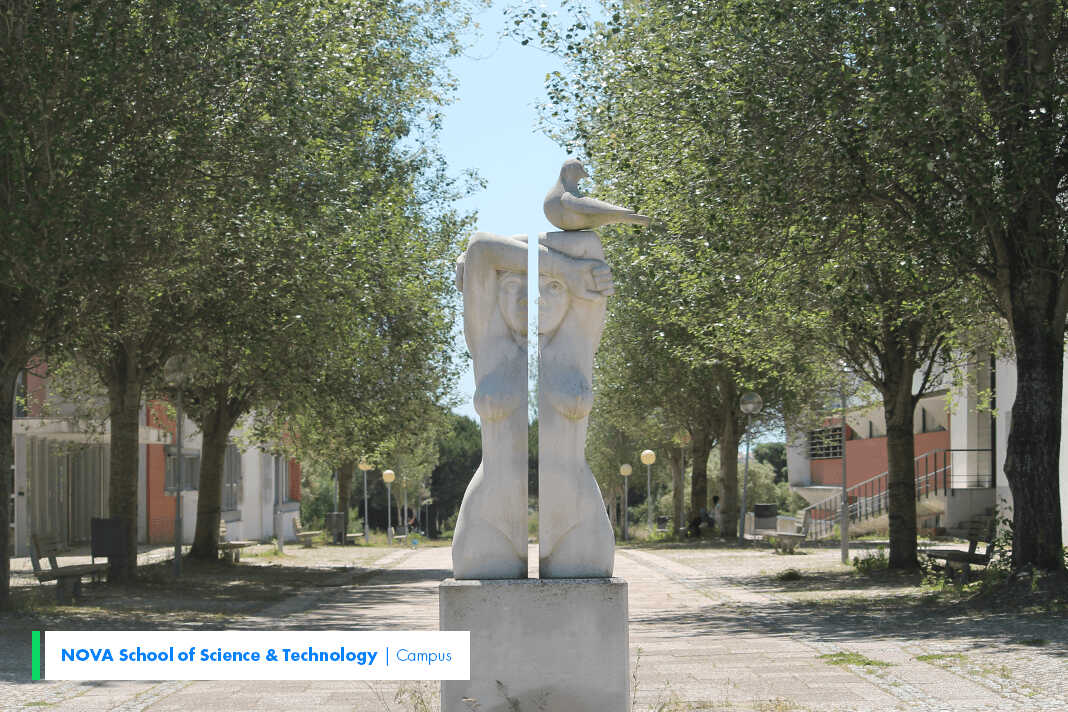 11-2-NOVA School of Science & Technology _ Campus